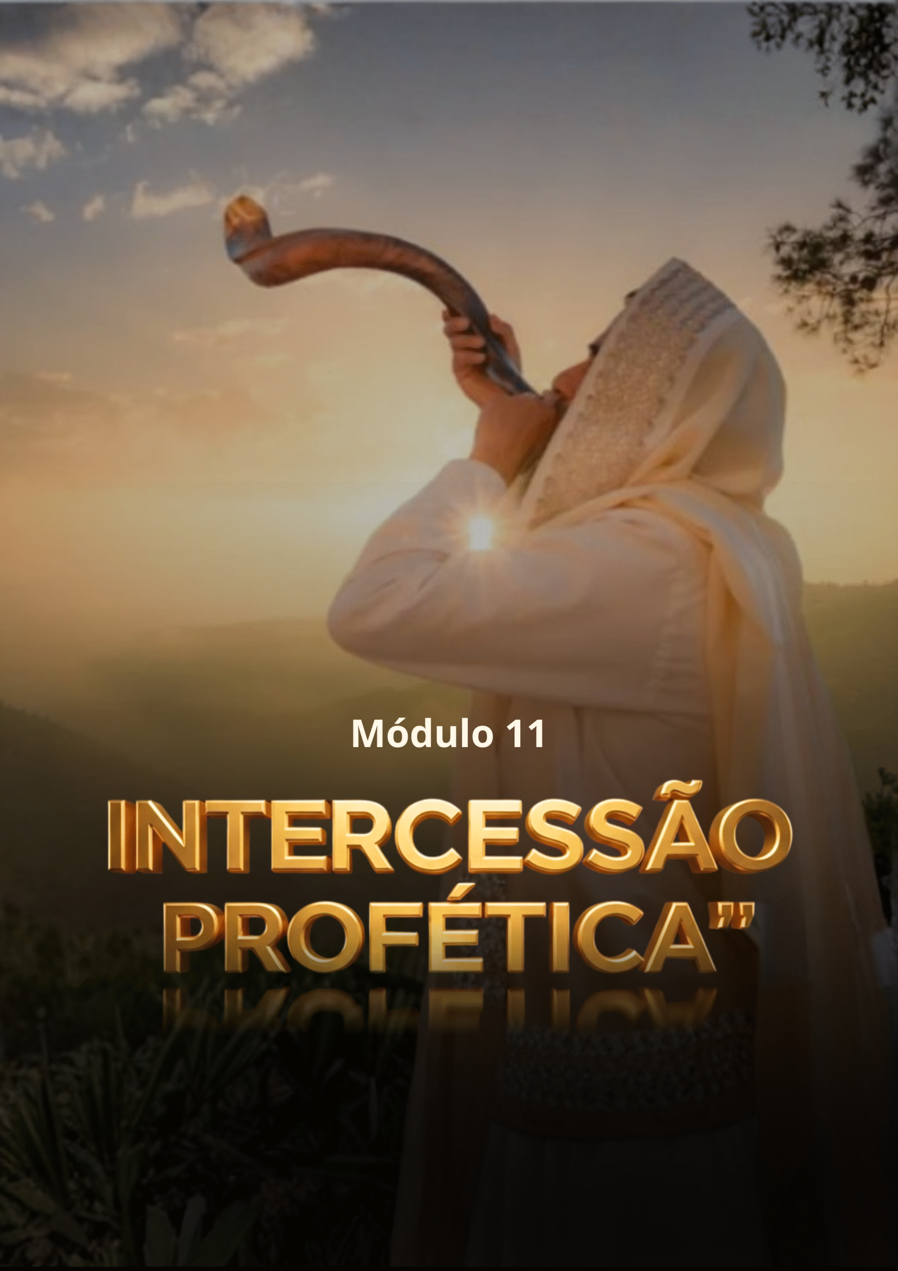 Módulo 11 - Intercessão Profética